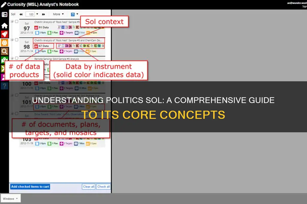 what is politics sol