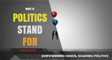 Understanding Politics: Its Core Meaning, Purpose, and Impact on Society