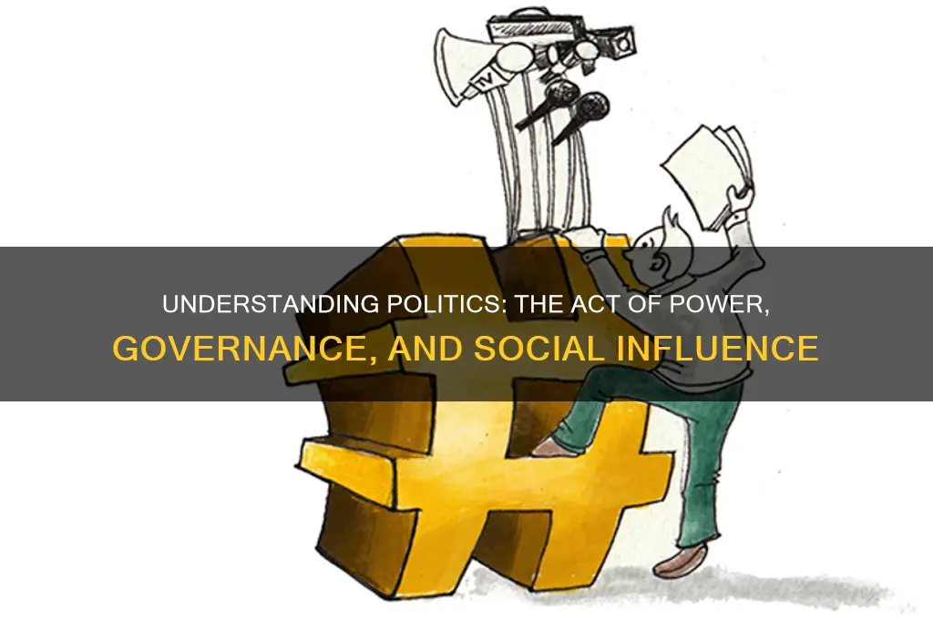 what is politics the acti