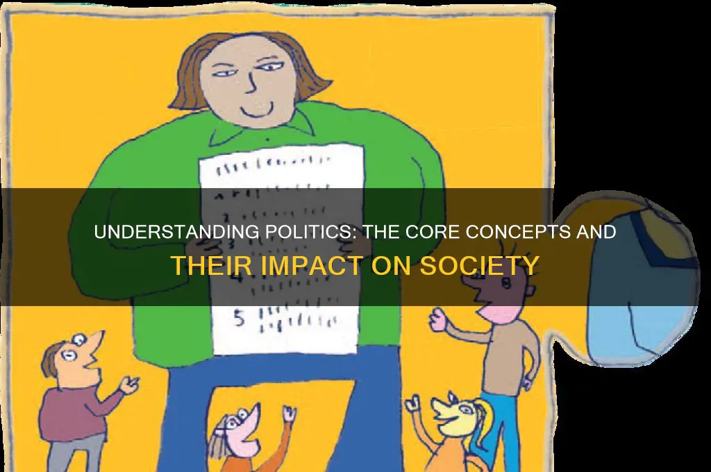 what is politics the