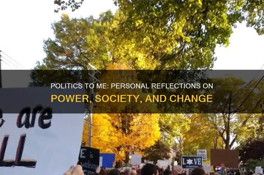 what is politics to me