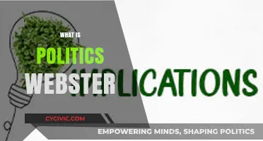 Understanding Politics: Webster's Definition and Its Real-World Implications