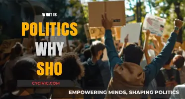 Understanding Politics: Its Role, Impact, and Why It Matters to You