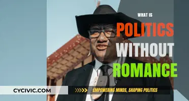 Politics Without Romance: The Cold Reality of Power and Governance