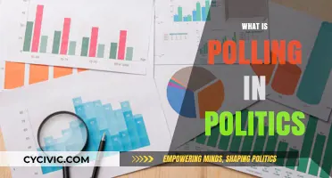 Understanding Political Polling: How Surveys Shape Campaigns and Elections