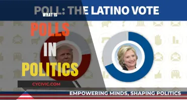 Understanding Political Polls: Their Role, Impact, and Reliability in Democracy