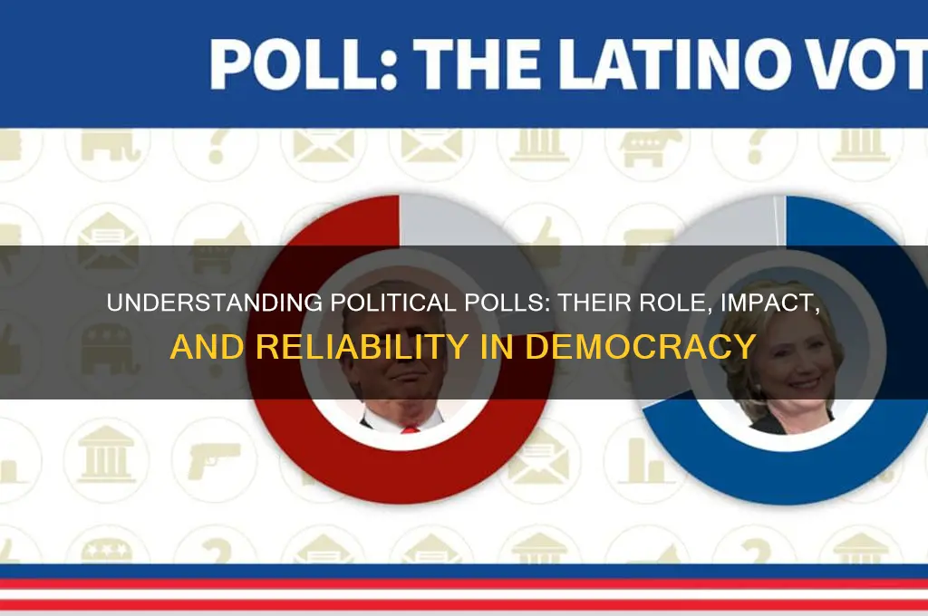 what is polls in politics