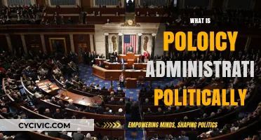 Understanding Policy Administration: Political Roles, Processes, and Power Dynamics
