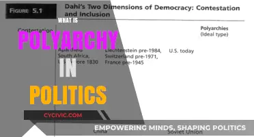 Understanding Polyarchy: A Comprehensive Guide to Political Pluralism