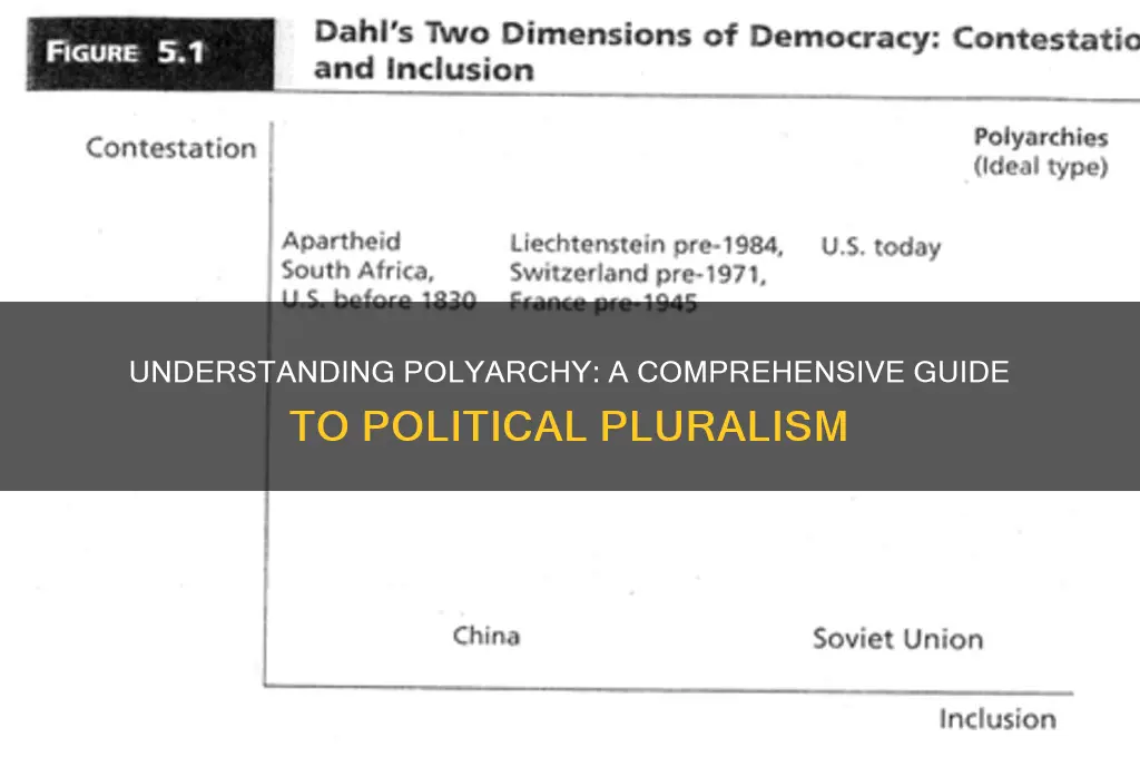 what is polyarchy in politics