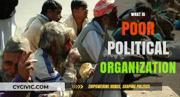 Understanding the Impact of Poor Political Organization on Governance