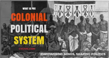 Exploring the Dynamics of Pre-Colonial Political Systems: A Historical Overview