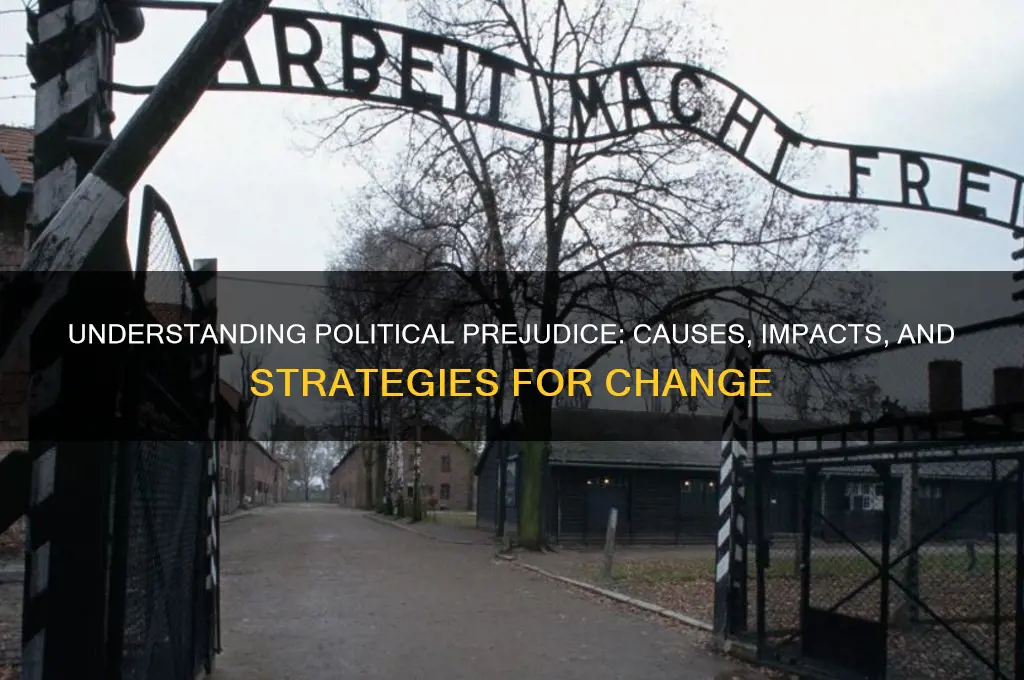 what is prejudice against political