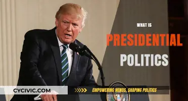 Understanding Presidential Politics: Power, Campaigns, and Leadership Explained