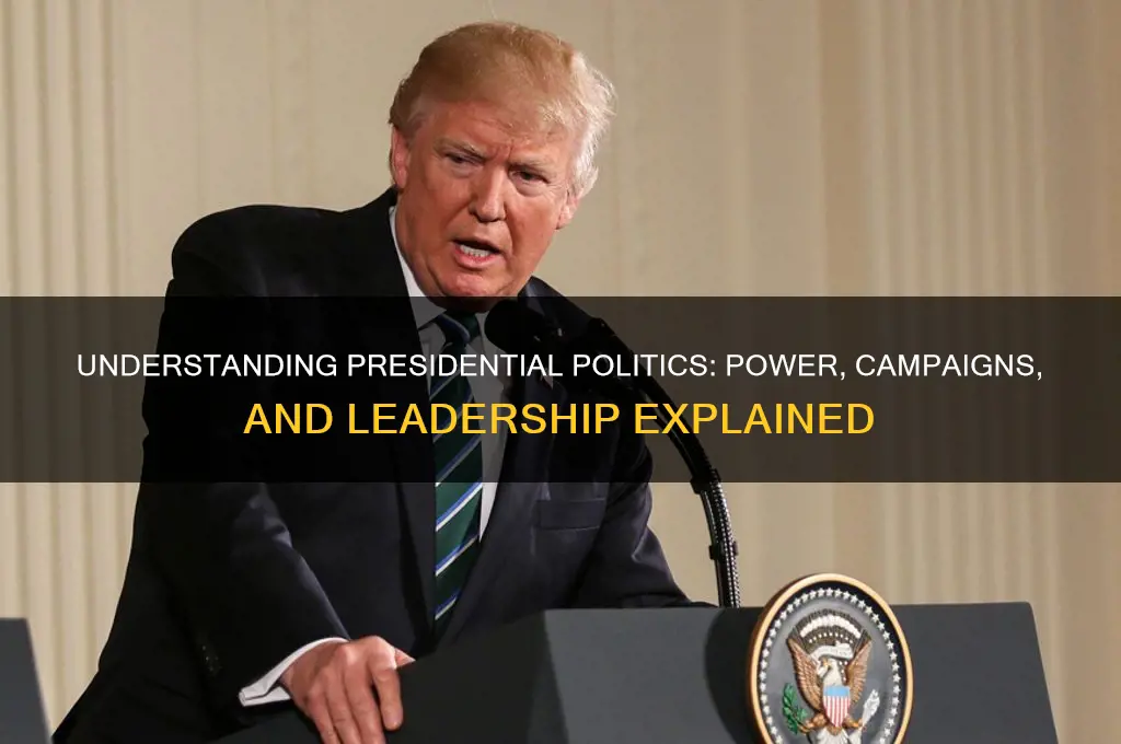what is presidential politics