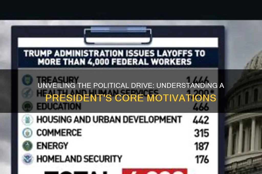 what is presidents motivation political