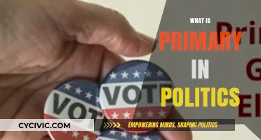 Understanding Primary Elections: The Foundation of Political Campaigns