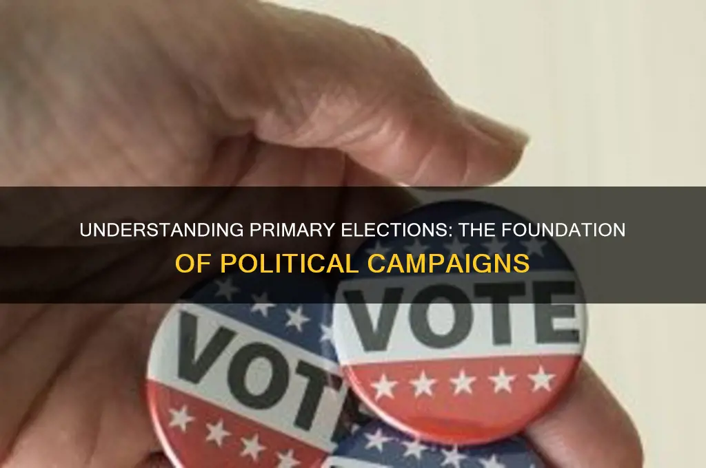 what is primary in politics