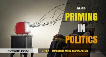 Understanding Priming: How Political Messaging Shapes Public Perception and Behavior