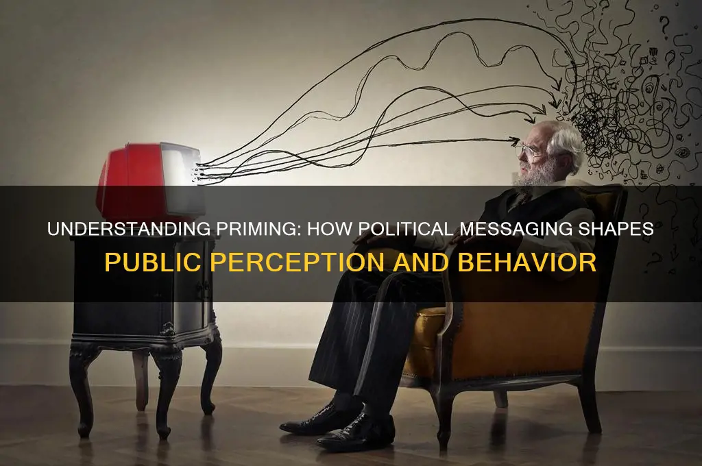 what is priming in politics