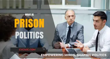 Understanding Prison Politics: Power, Survival, and Social Dynamics Behind Bars