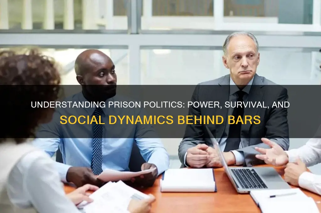 what is prison politics