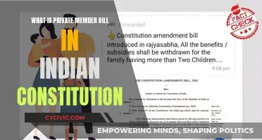 Understanding Private Member Bills in the Indian Constitution
