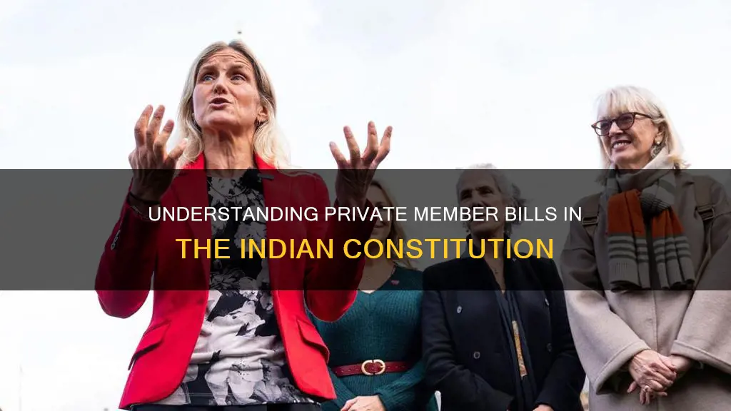 what is private member bill in indian constitution
