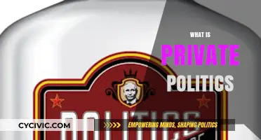 Understanding Private Politics: Influence, Power, and Hidden Decision-Making Processes