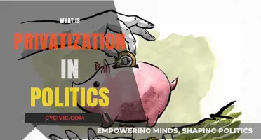 Understanding Privatization: Political Implications and Economic Transformations Explained