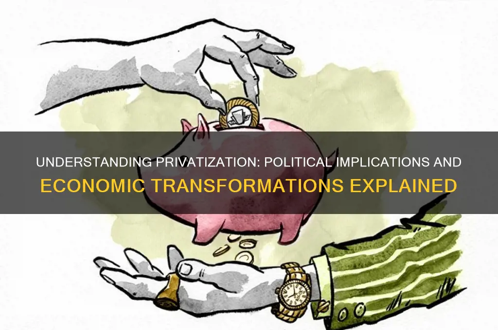 what is privatization in politics