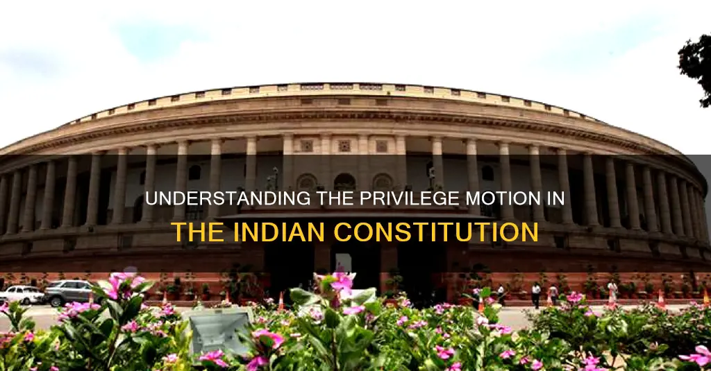 what is privilege motion in indian constitution