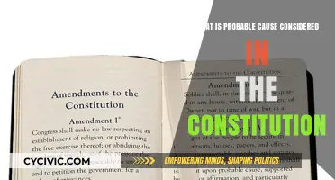 The Constitution's Probable Cause: What's the Reasonable Suspicion?