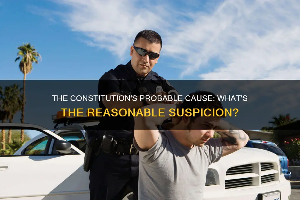 what is probable cause considered in the constitution