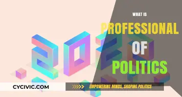 Understanding the Professionalisation of Politics: Trends, Impacts, and Implications