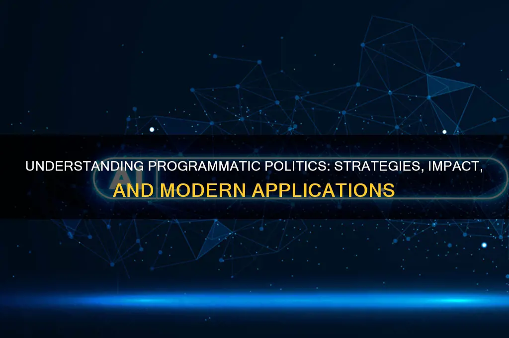 what is programmatic politics