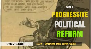 Understanding Progressive Political Reform: Principles, Goals, and Impact