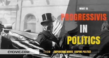 Understanding Progressivism: Core Principles and Political Impact Explained