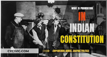 Understanding Prohibition in the Indian Constitution