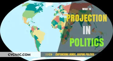 Understanding Political Projection: Tactics, Impacts, and Real-World Examples
