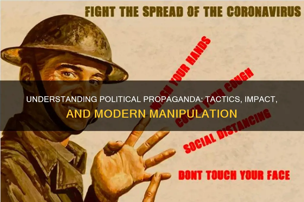 what is propaganda in politics