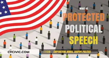 Understanding Protected Political Speech: Rights, Limits, and Legal Boundaries