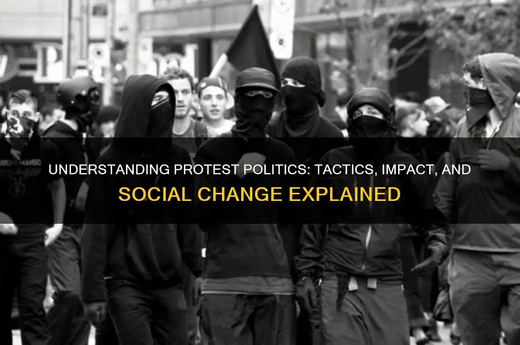 what is protest politics