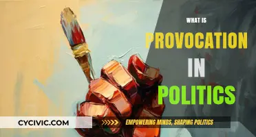 Provocation in Politics: Understanding Its Role, Impact, and Consequences