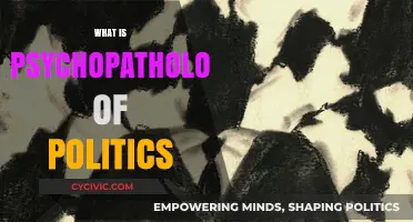 Unveiling the Dark Psychology Behind Political Power and Manipulation