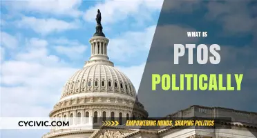 Understanding PTOS: Political Implications and Organizational Structure Explained