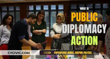Public Diplomacy Action: Soft Power Strategies