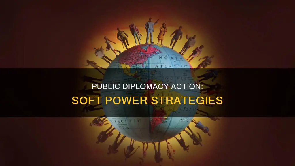 what is public diplomacy action