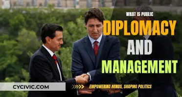 Public Diplomacy and Management: Theory and Practice