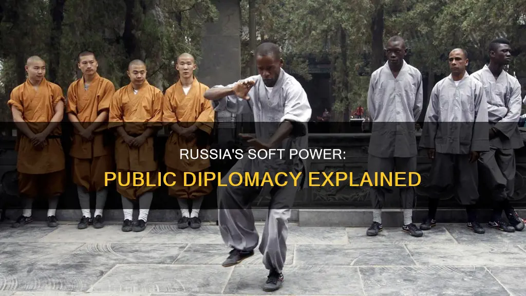 what is public diplomacy and why russia needs it